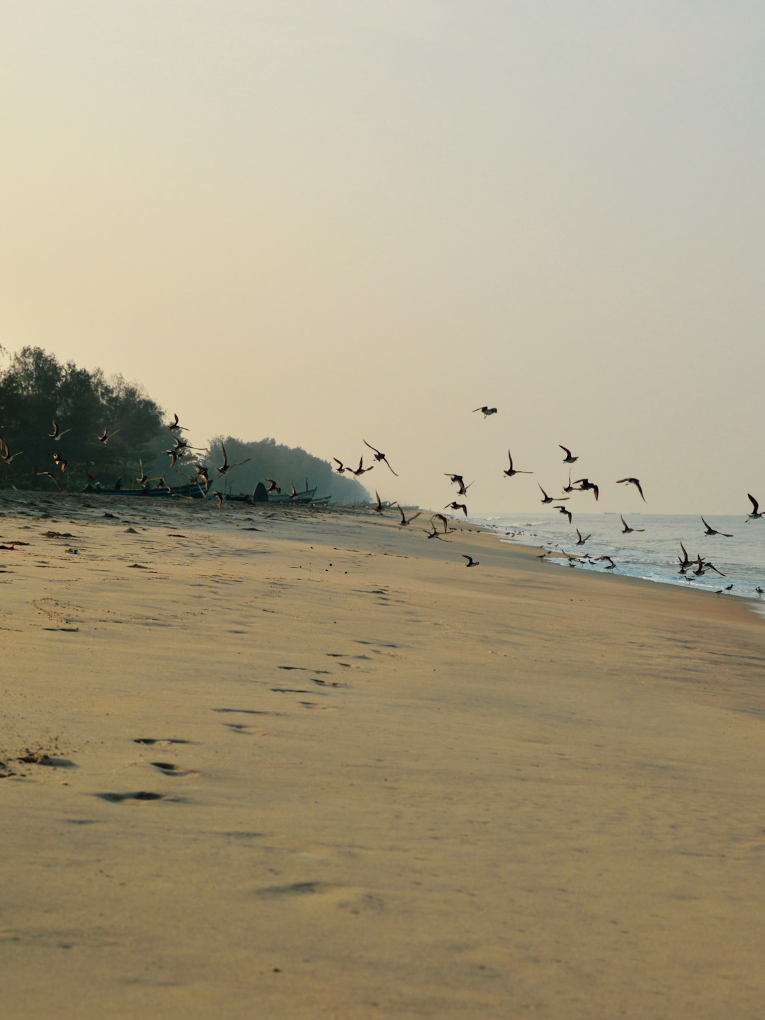 Story behind my image – Fisherman with his nets