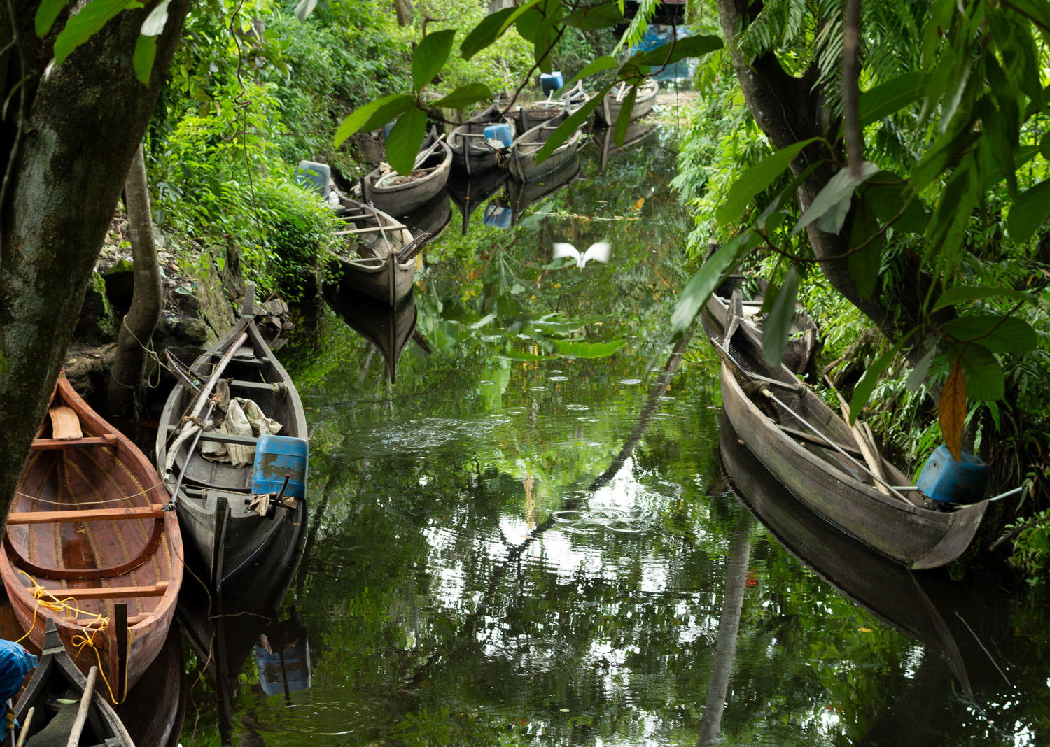 Embrace the moment | a Kumarakom Cinematic movie