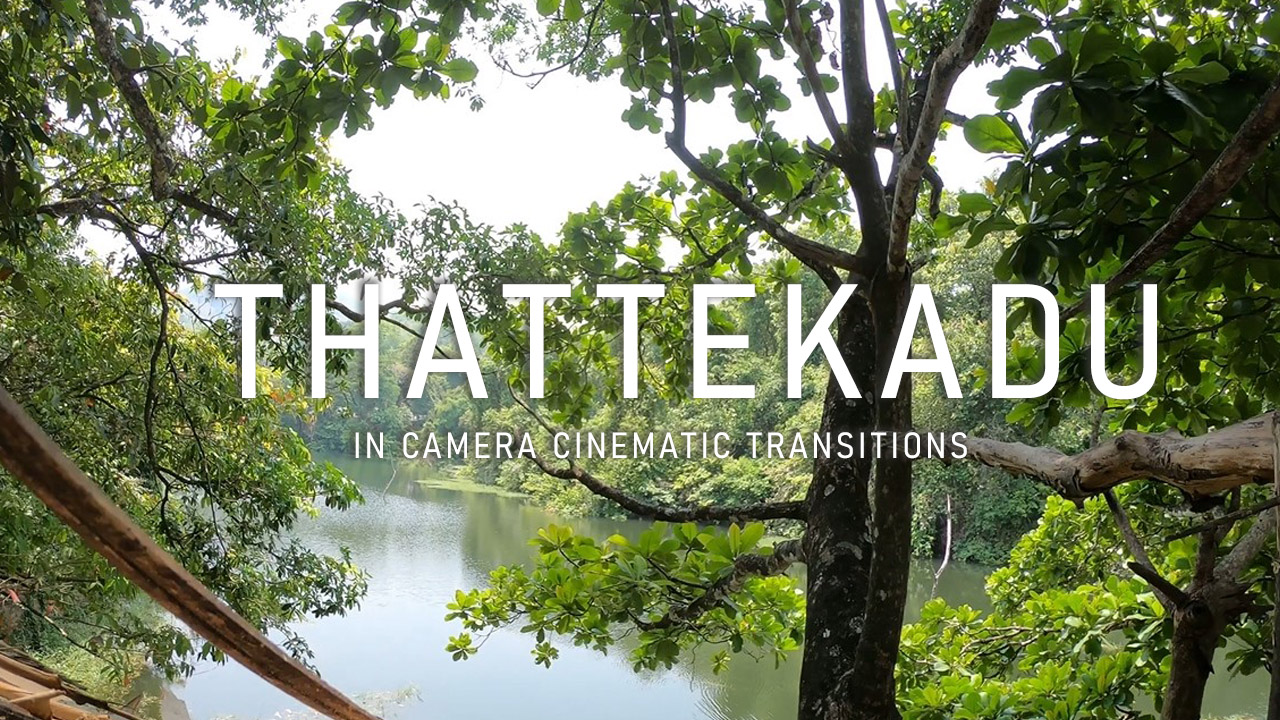 Best bird sanctuary to explore in kerala