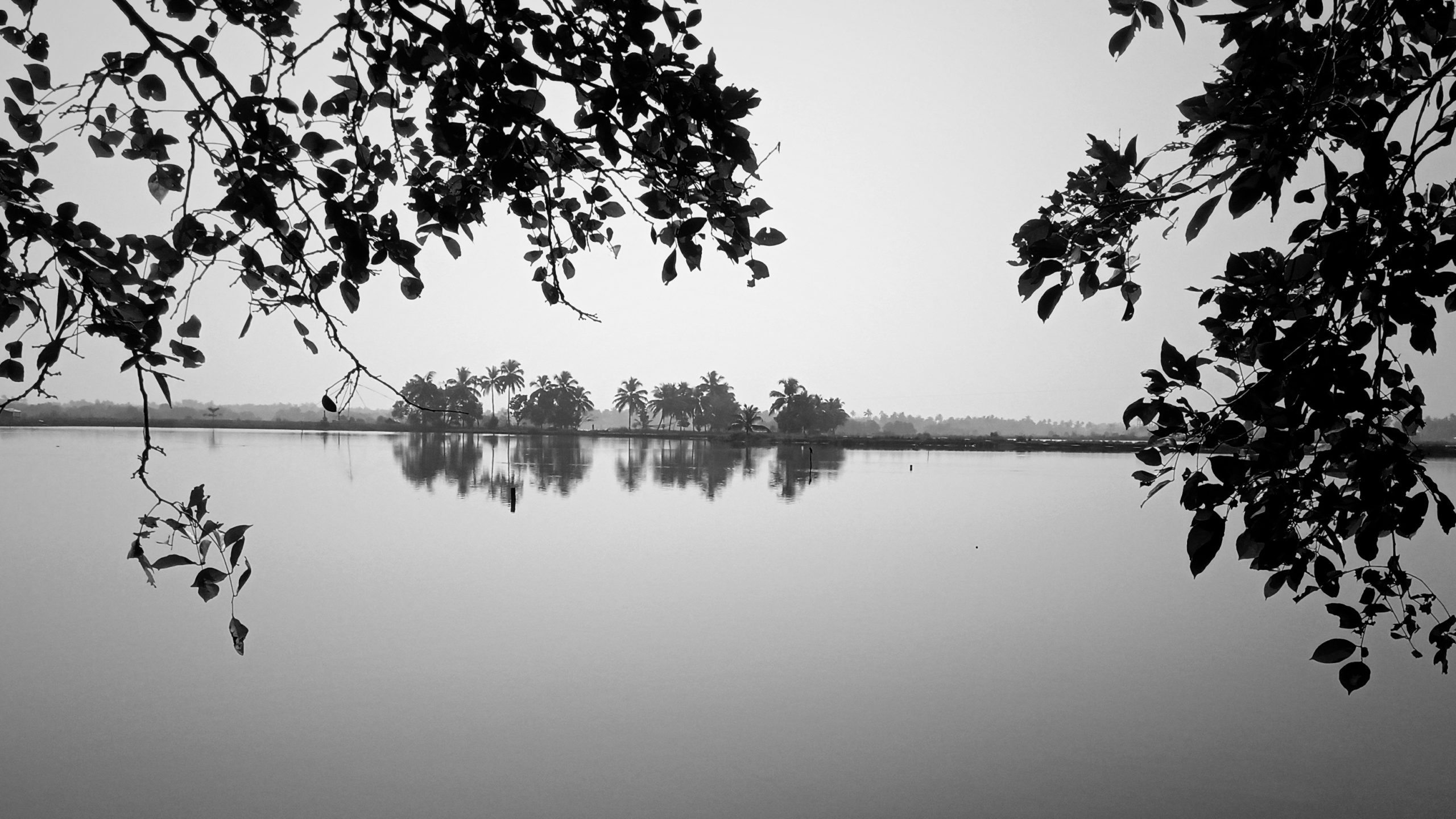 One day at kadamakudy