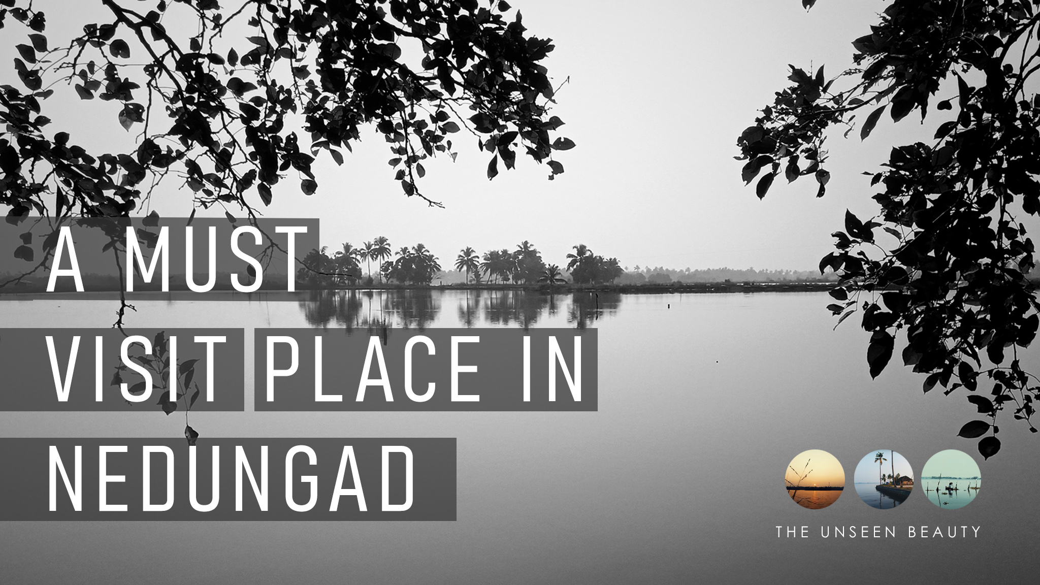 Amazing sunset at Nedungad