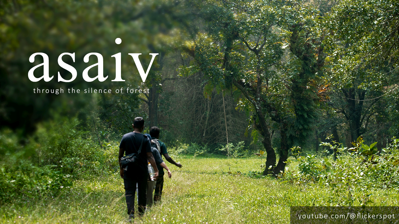 Parambikulam Tiger Reserve: A Wildlife Trekking Journey Worth Taking | Kerala 1 Parambikulam Tiger Reserve: A Wildlife Trekking Journey Worth Taking | Kerala